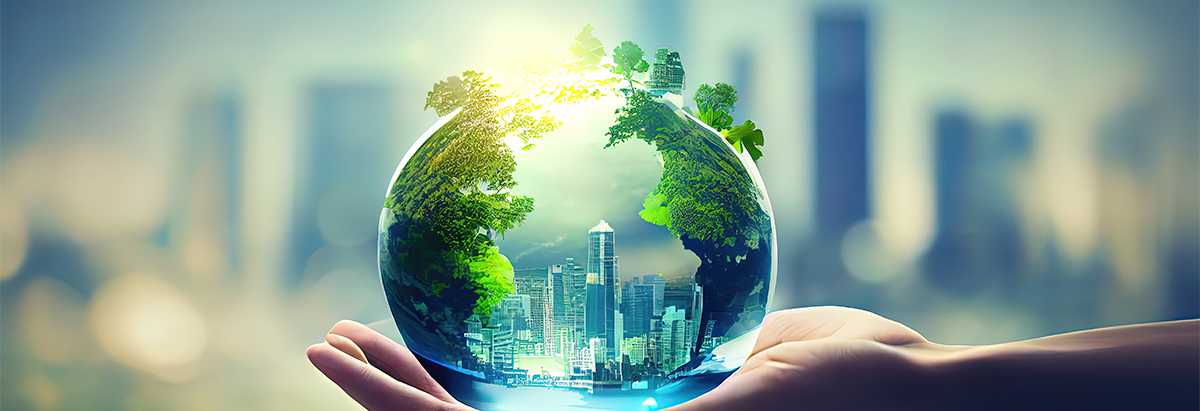 social responsibility